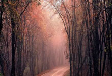 一号娱乐官网:刺激!青岛西海岸3-3领头羊,浙江4-0中超前冠军,升班马4-3深圳.