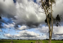 一号娱乐官网:跳级进英格兰U21❗19岁小贝林身价涨至2200万欧,未来亿元先生❓.