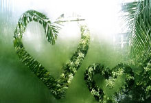 一号娱乐官网:前阿森纳总经理:酋长球场扩建要三思,要考虑门票需求.